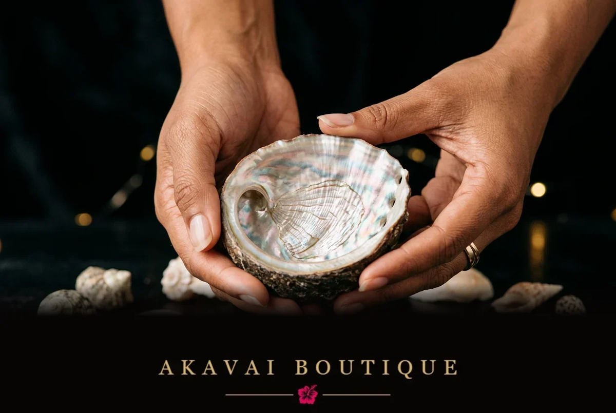 Mains tenant une coquille nacrée sur une surface sombre, entourée de petits coquillages, illustration du Journal d’Akavai sur les coquillages